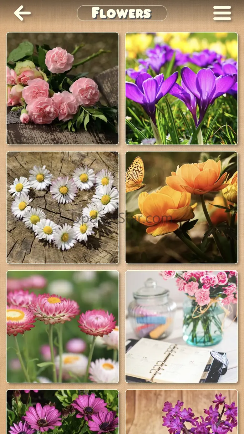 Puzzle Passion 4.4