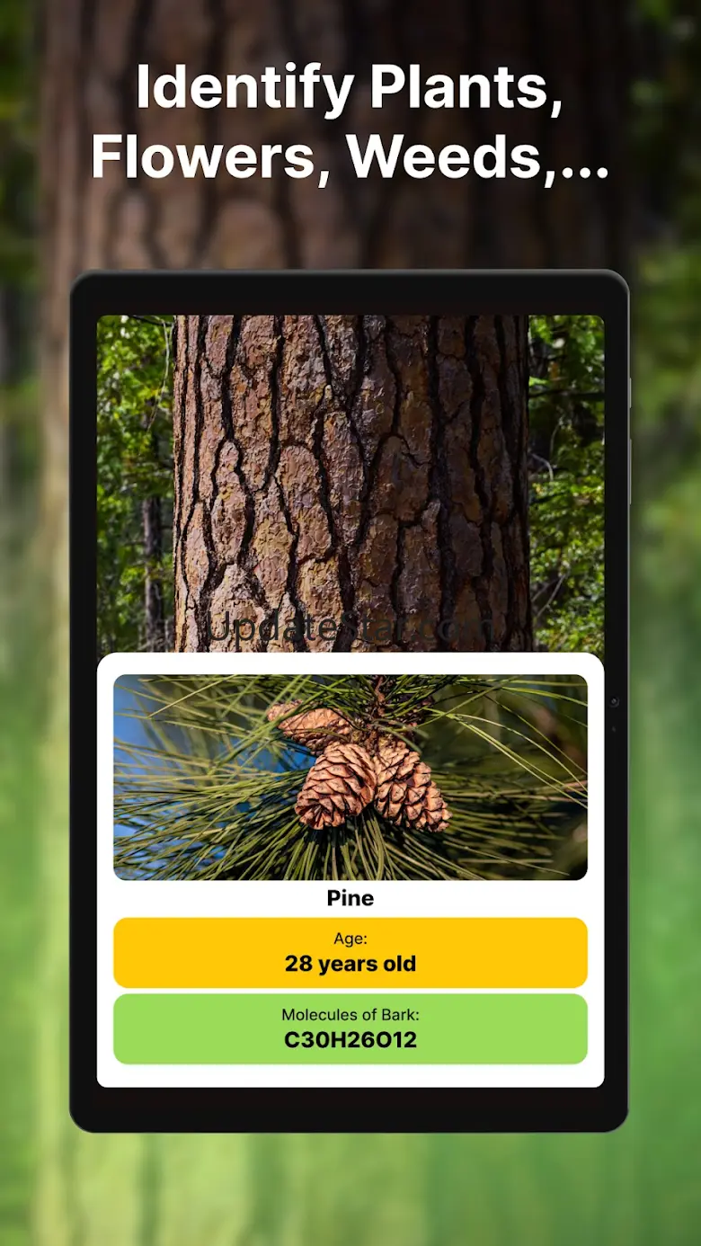 Plant identifier 6.5.920