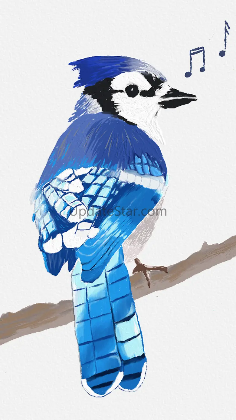 BirdSong ID (US) 1.0