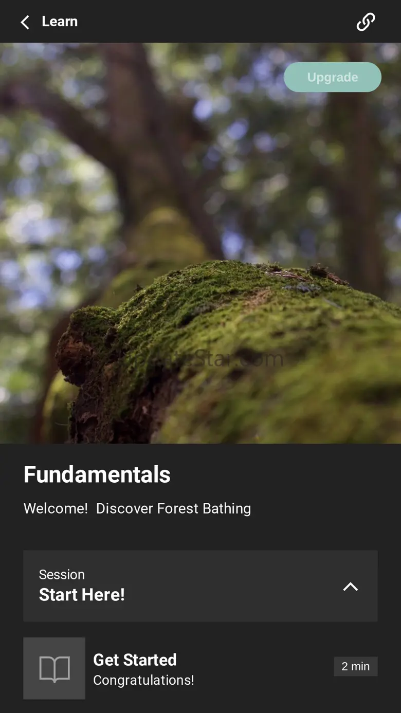 Forest Bathing Life 3.11.45