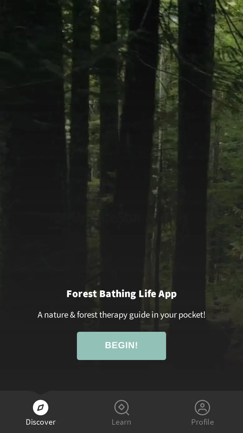 Forest Bathing Life 3.11.45