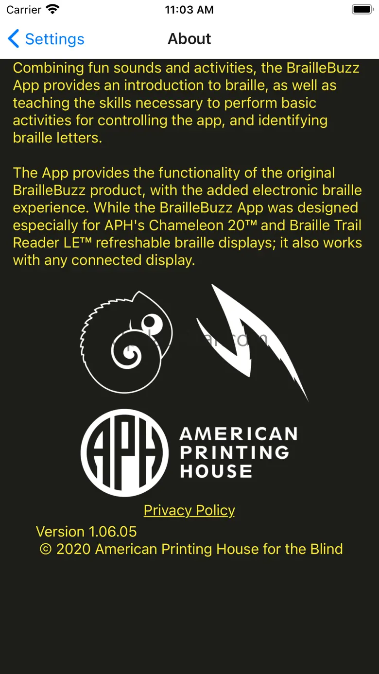 BrailleBuzz 1.06.15