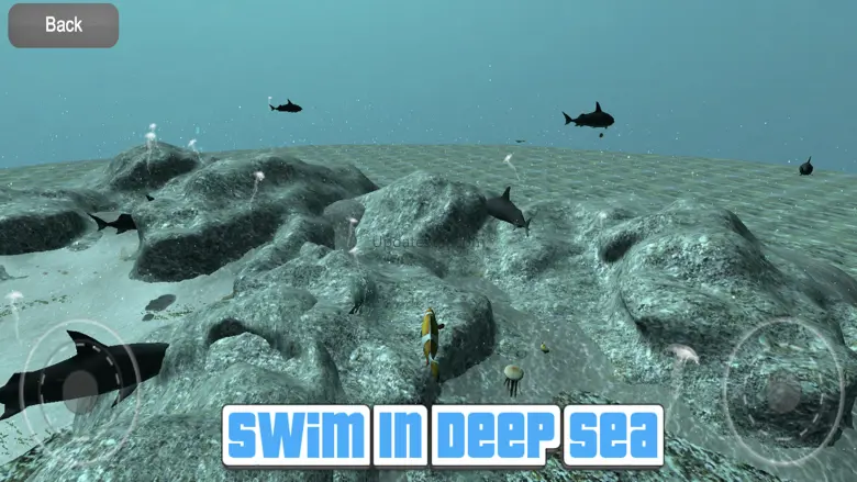 Fish Feed Simulator 3D 1.0
