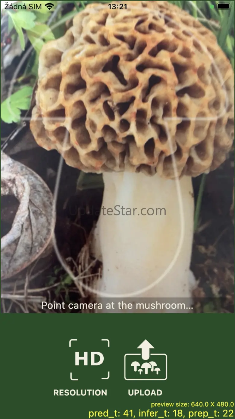 Mushrooms app fall2024v4