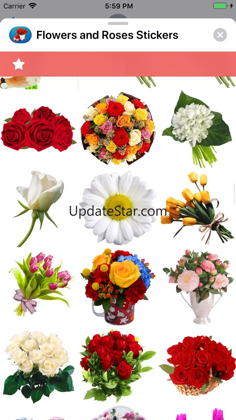 Flowers and Roses Stickers 1.0