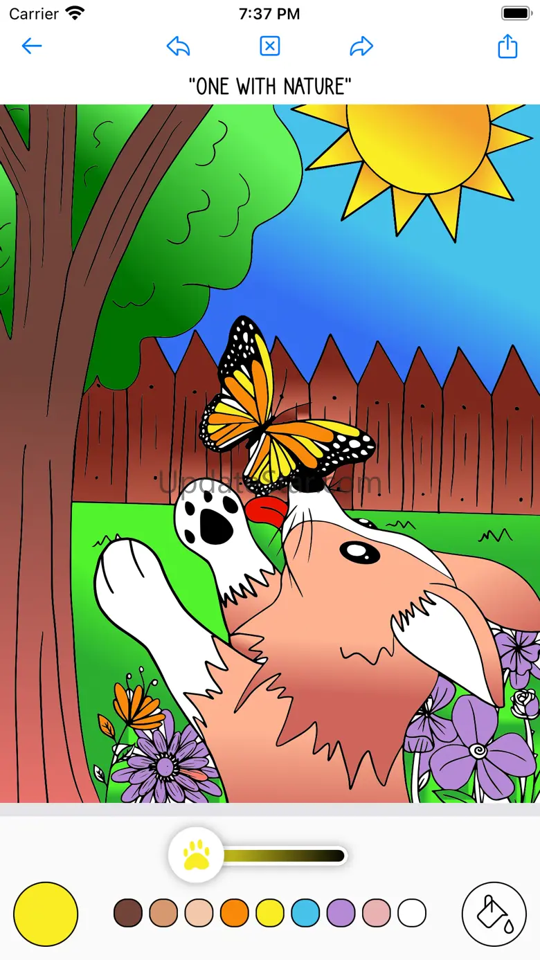 Corgi Coloring 1.43