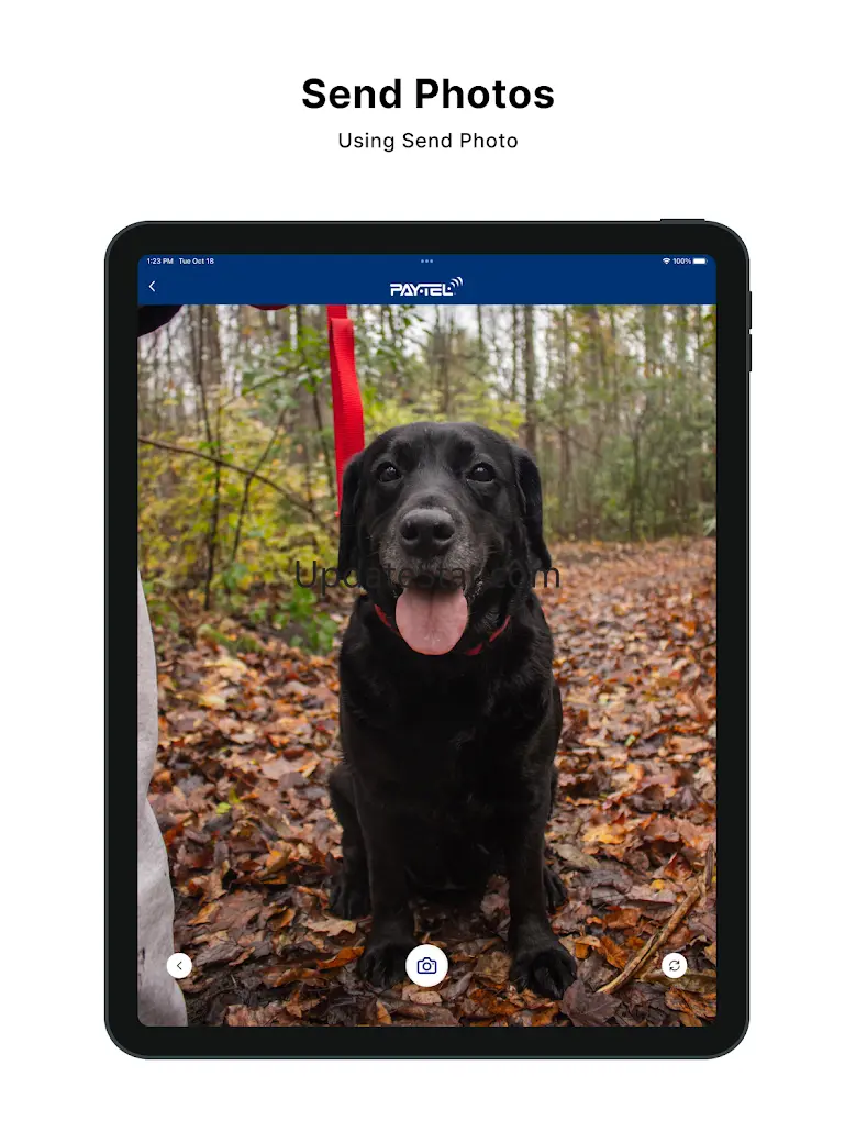 Pay Tel 1.4.8