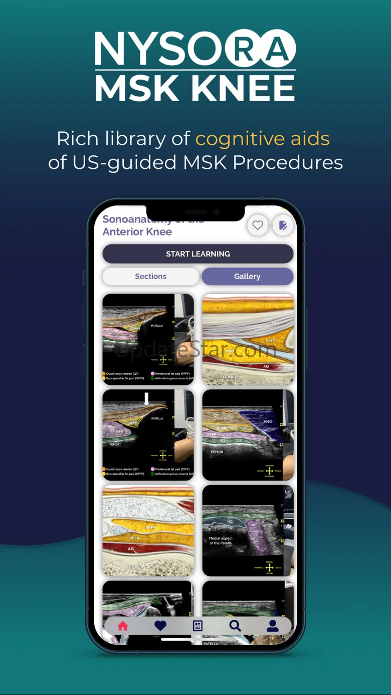NYSORA MSK US Knee 1.0.19