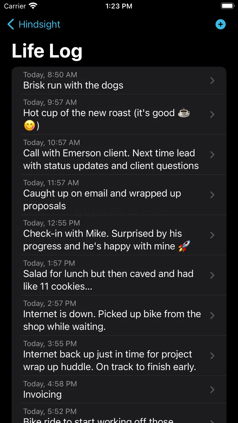 Hindsight - Micro Journal 1.0.1