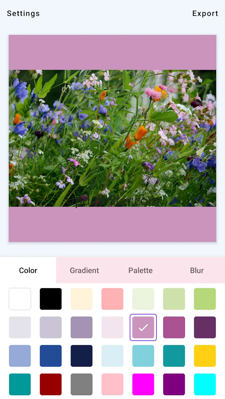 Square Fit - Square Photo 2.6.1