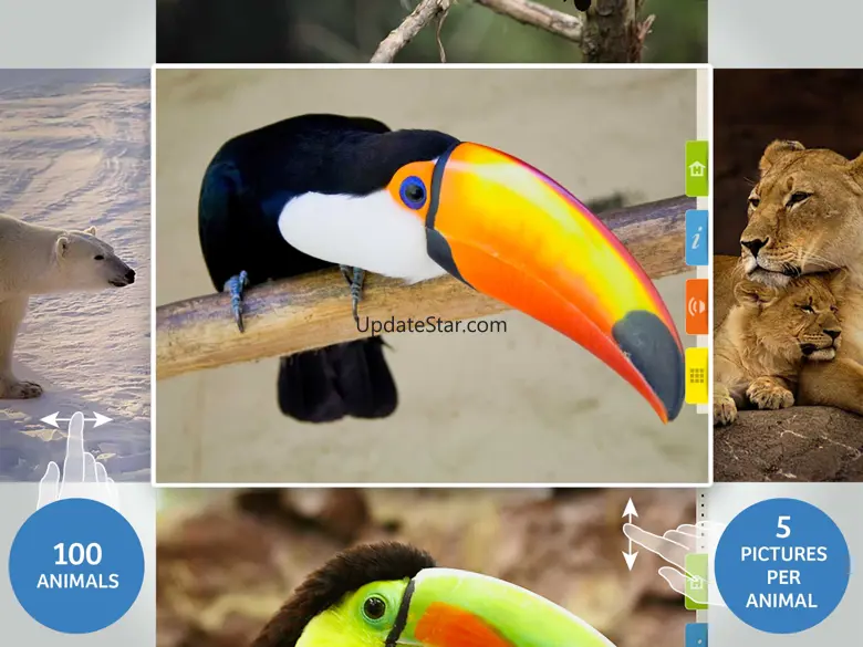 Animals 100 1.2