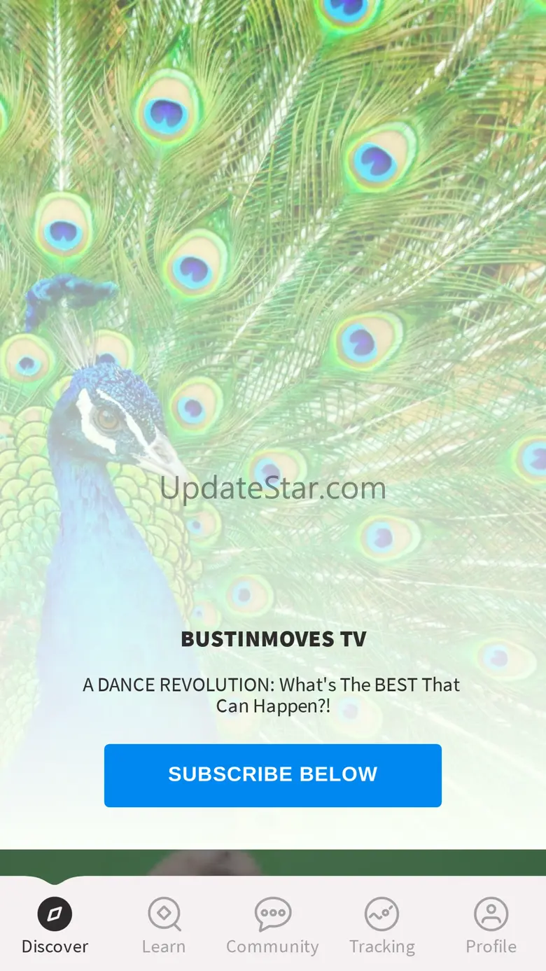 BustinMoves TV 3.10.16