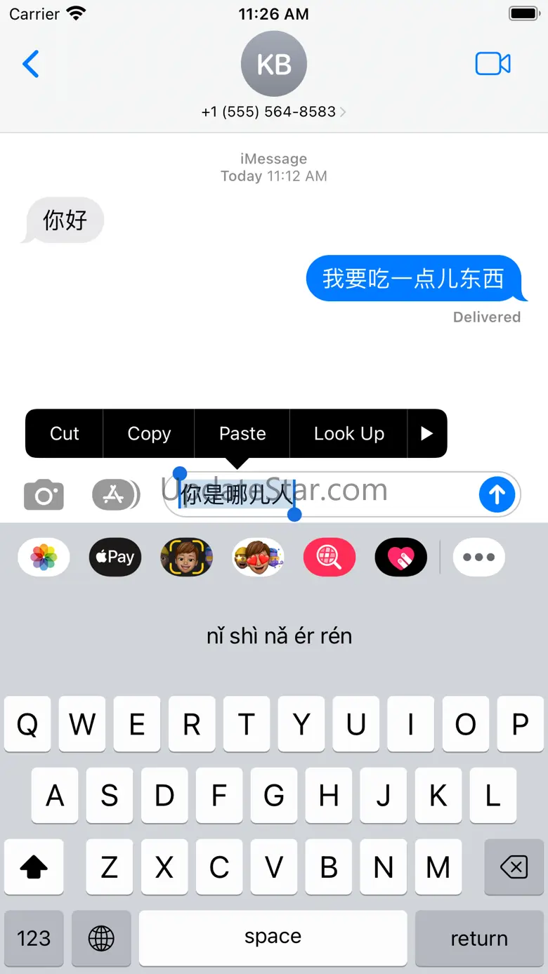 Pinyin Pengyou 1.1