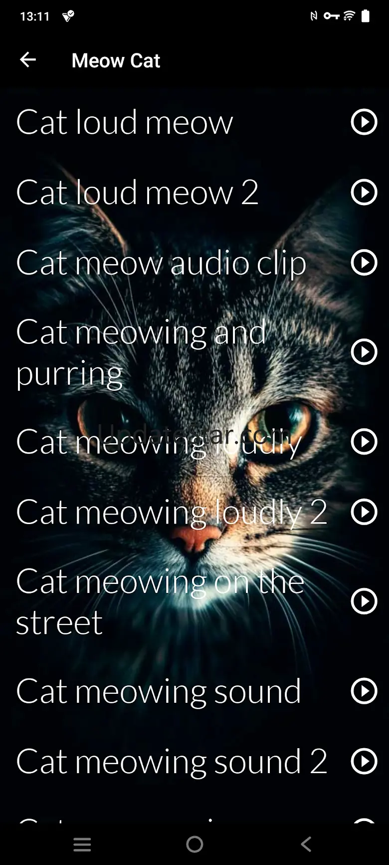 Cats sounds 4.0.catsounds