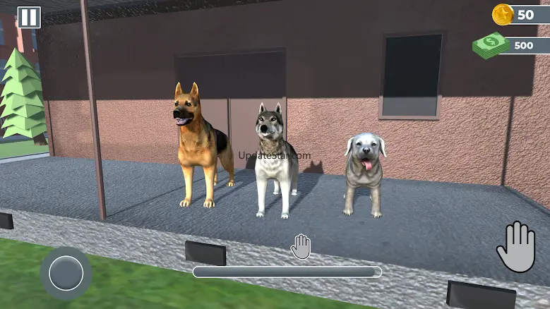 Animal Shelter Pet Rescue Sim 1.0
