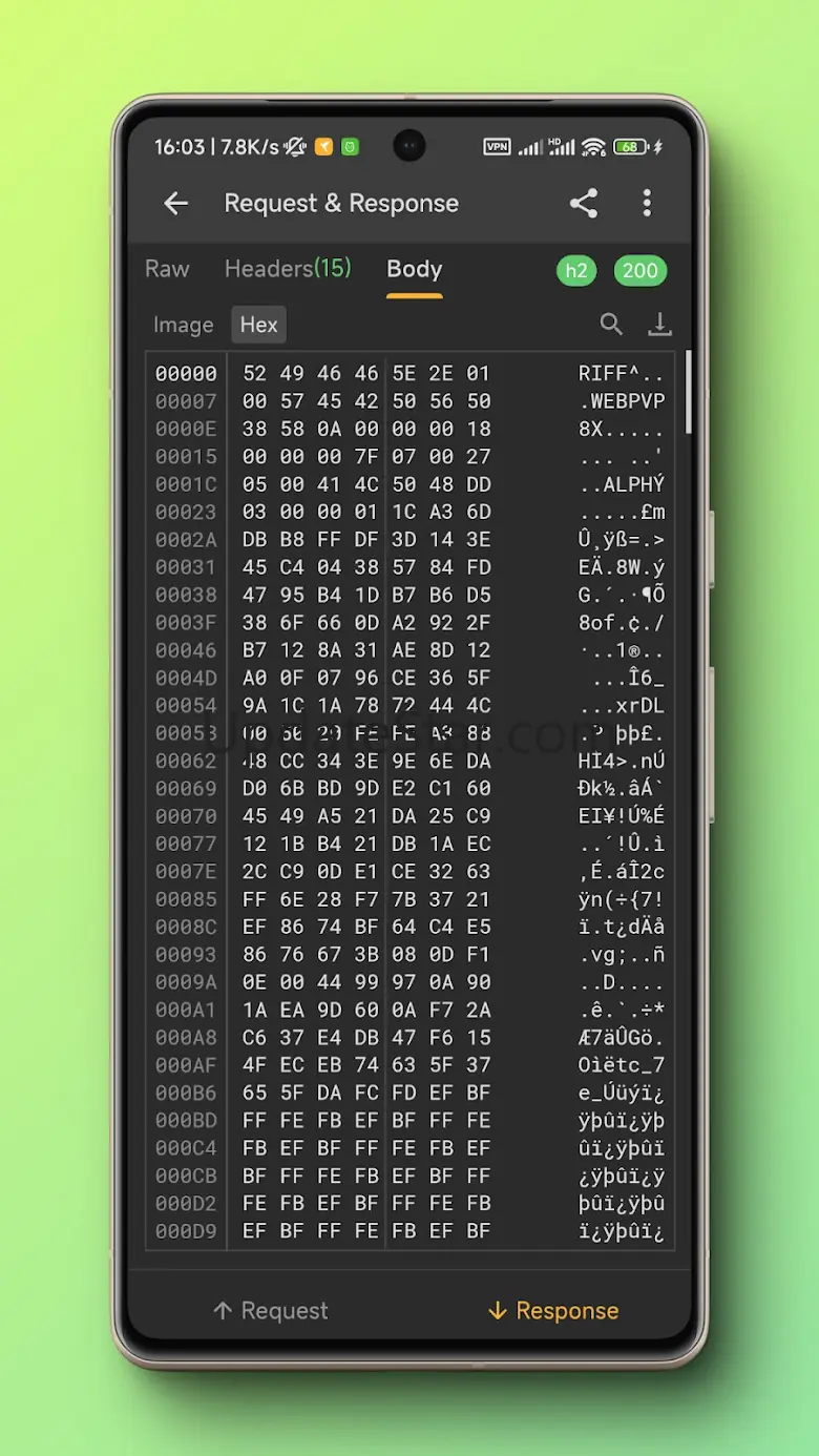 Reqable  API Testing & Capture 2.33.12
