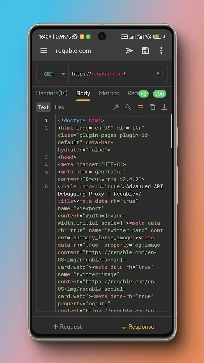 Reqable  API Testing & Capture 2.33.12