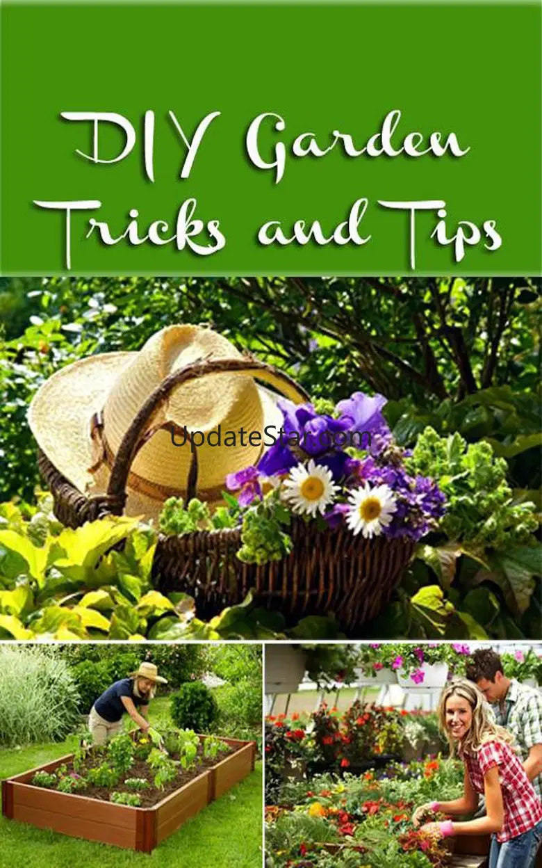 DIY Gardening Tips 3.1
