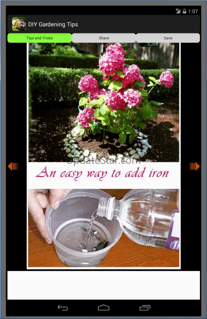 DIY Gardening Tips 3.1