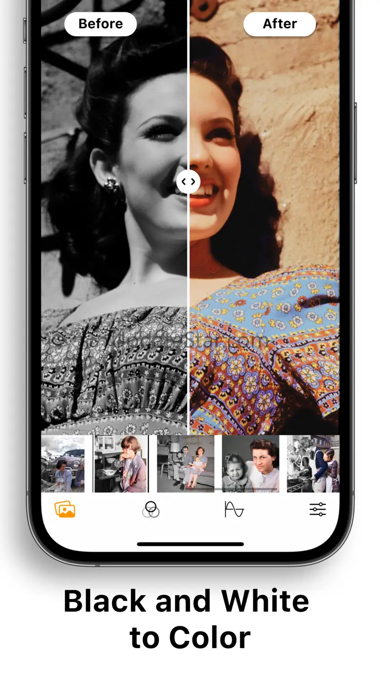 Colorize Old Photos: Pholorize 1.3.3