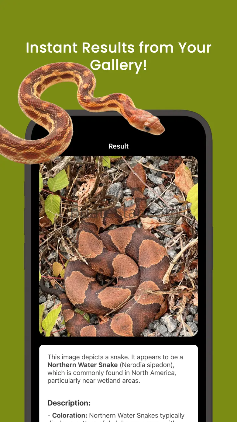 Snake ID - reptile identifier 1.1.0