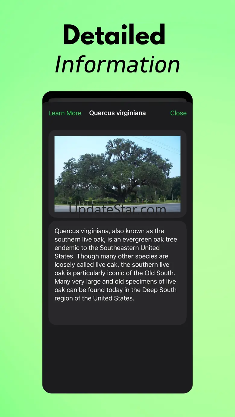 Tree Identifier AI: TreeIQ 1.0.1