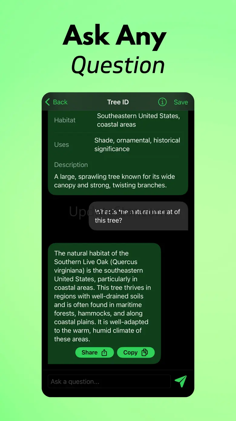 Tree Identifier AI: TreeIQ 1.0.1