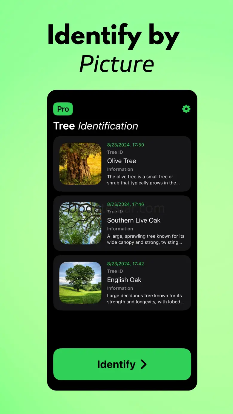 Tree Identifier AI: TreeIQ 1.0.1