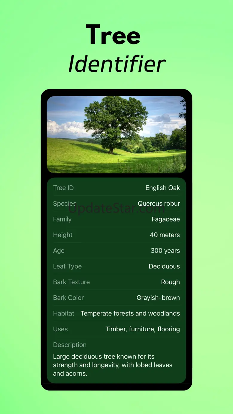 Tree Identifier AI: TreeIQ 1.0.1