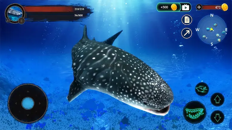 The Whale Shark 1.0.9