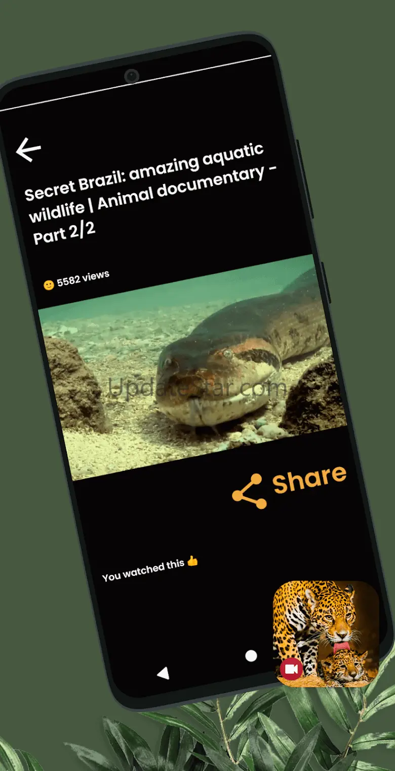 Wild Animals Documentary 1.0.2