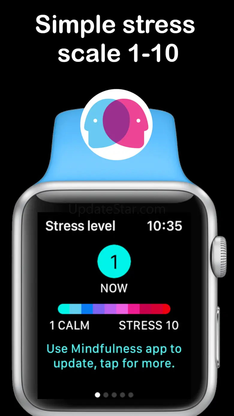 StressFace 12