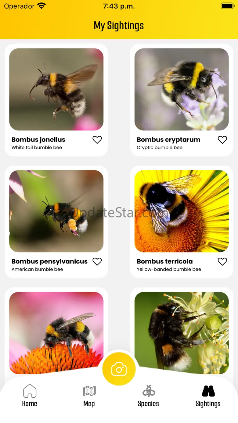 BeeMachine 1.2.8