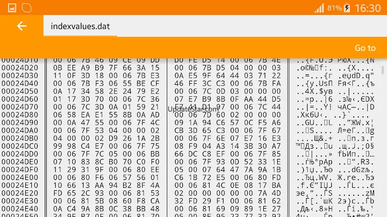 Binary Viewer 6.17.4.26