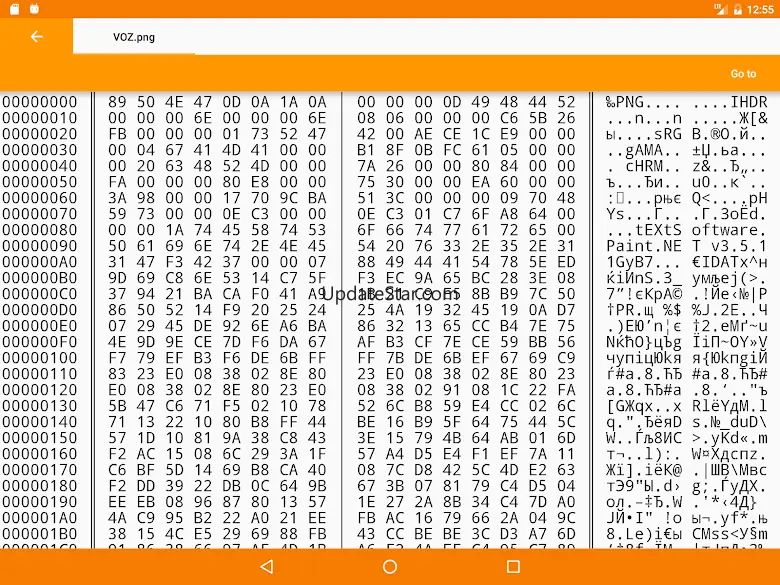 Binary Viewer 6.17.4.26