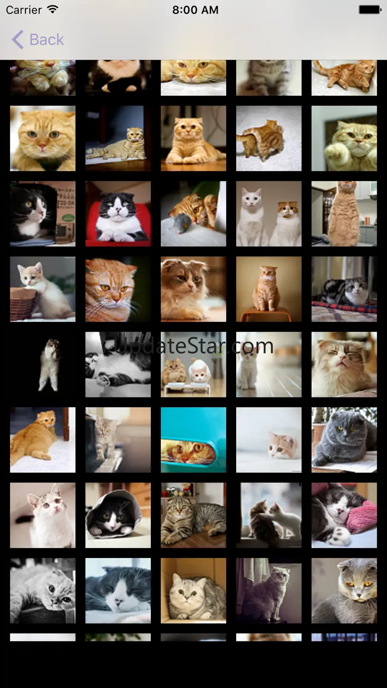 Cat's Family 1.4.3