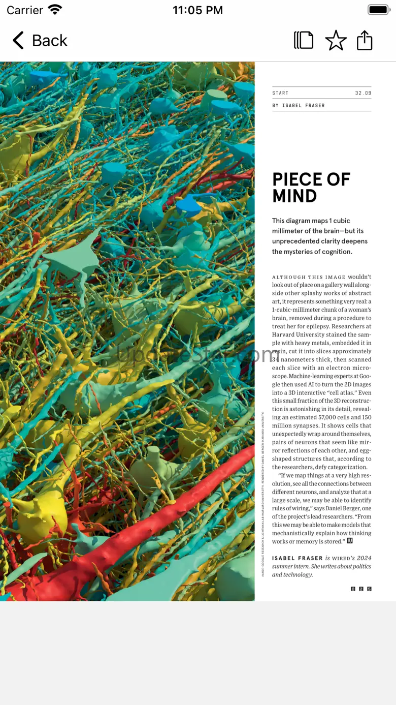 WIRED Magazine 5.8