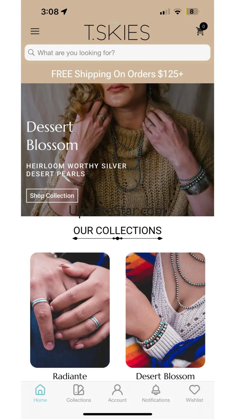 T.Skies Jewelry 1.3