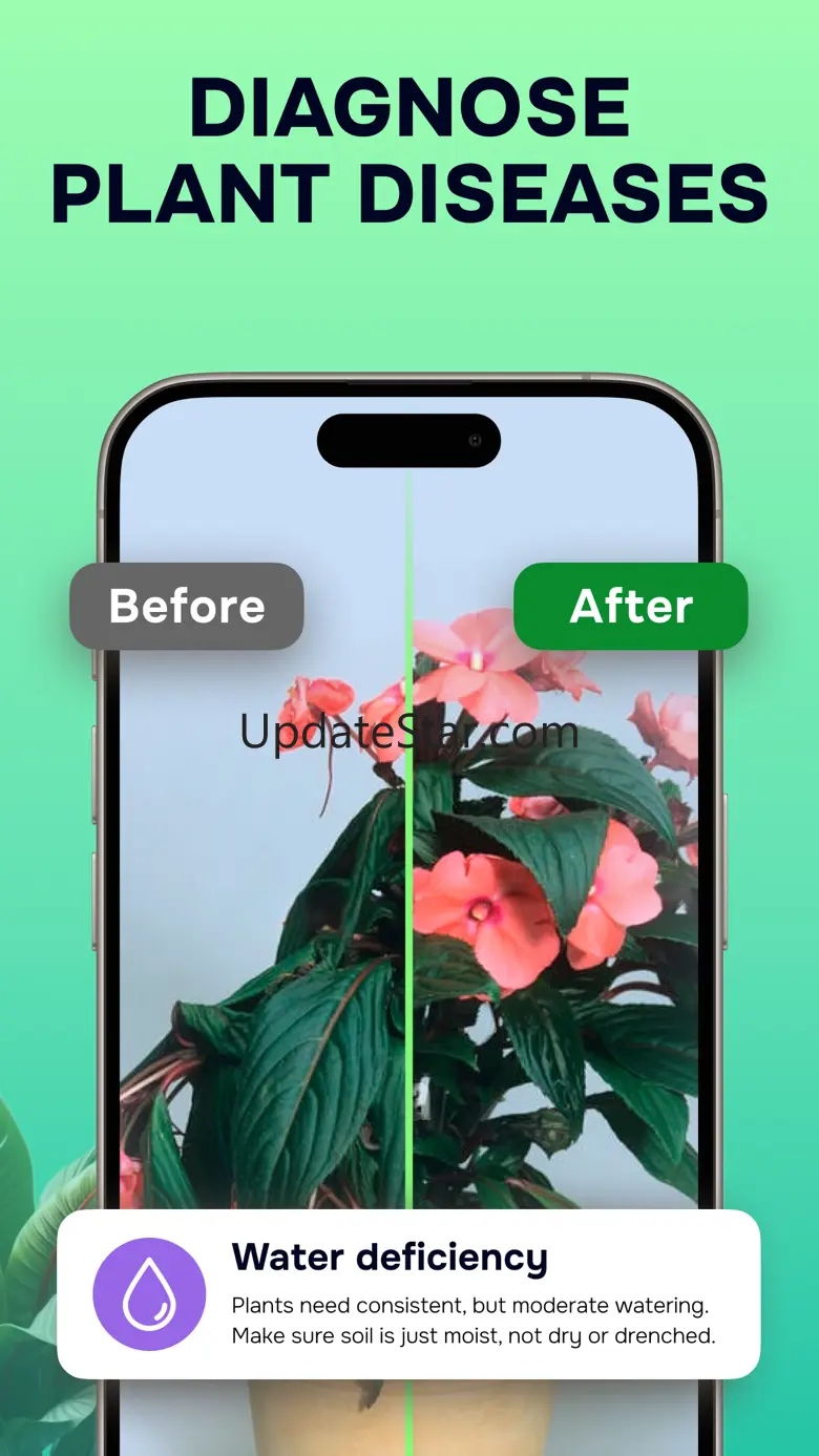 Plant Identifier: Nature ID AI 1.1.2