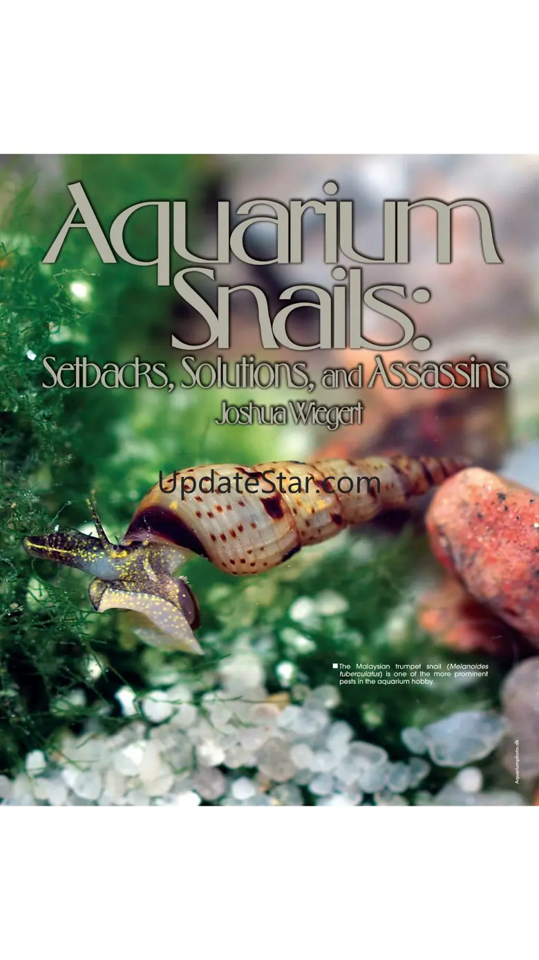 Tropical Fish Hobbyist mag 53.2
