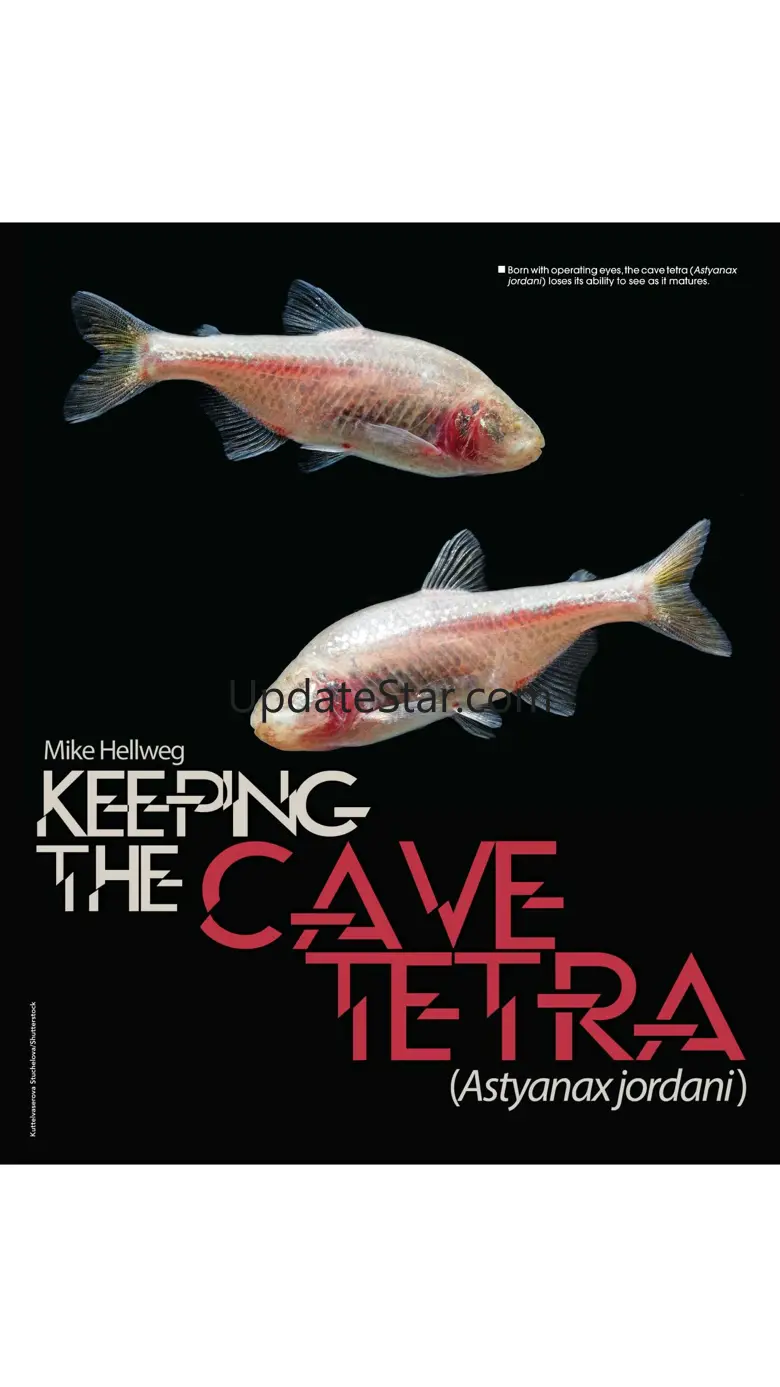 Tropical Fish Hobbyist mag 53.2
