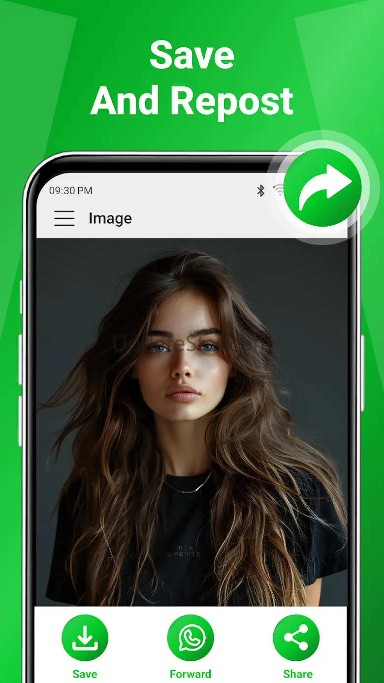Save All Status App 8.20.1