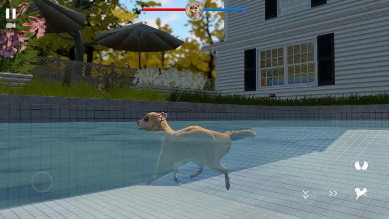 Flying Squirrel Simulator Game 1.3