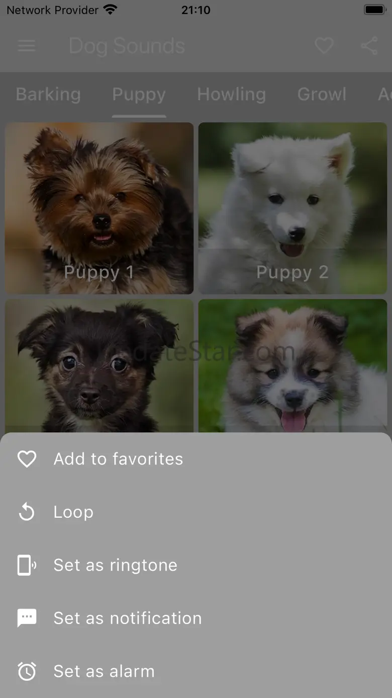 Dog Sounds - Collection 4.3