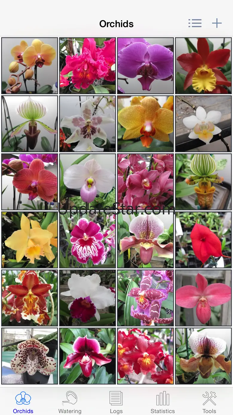 Orchid Album 2.3