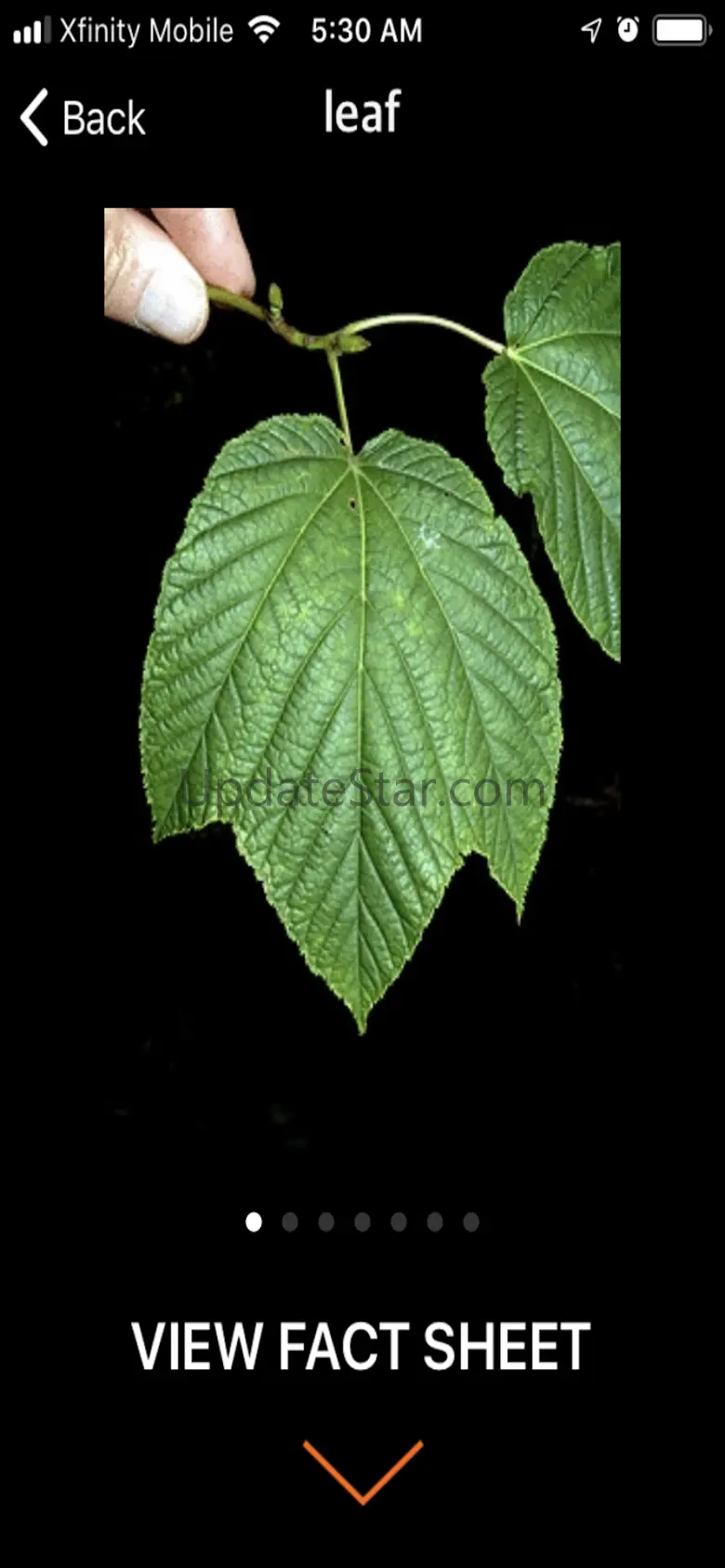 vTree 3.3.1