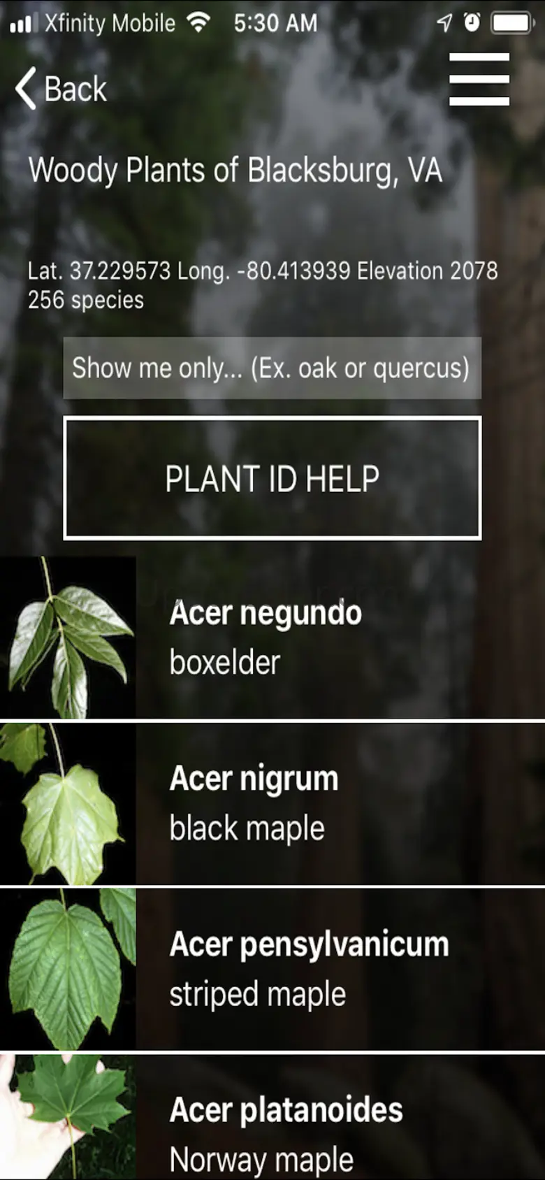 vTree 3.3.1