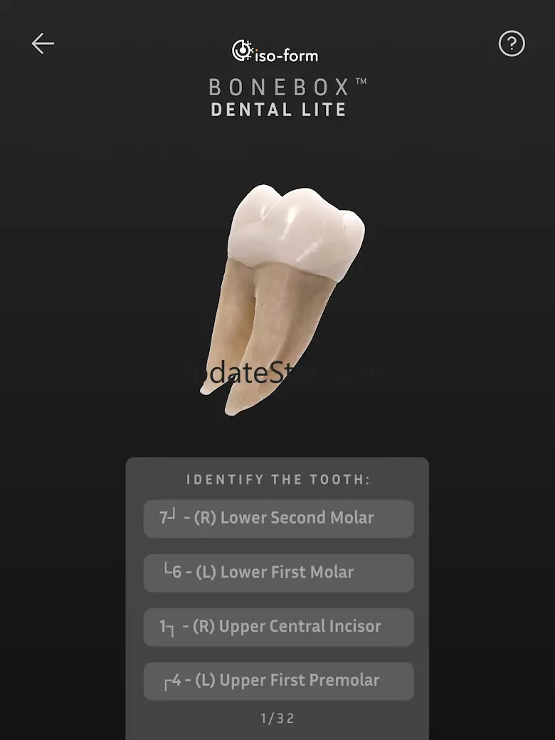 BoneBox™ - Dental Lite 1.1