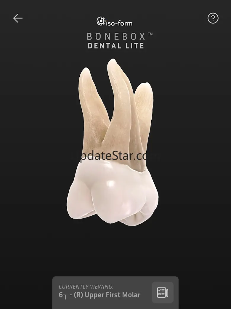 BoneBox™ - Dental Lite 1.1