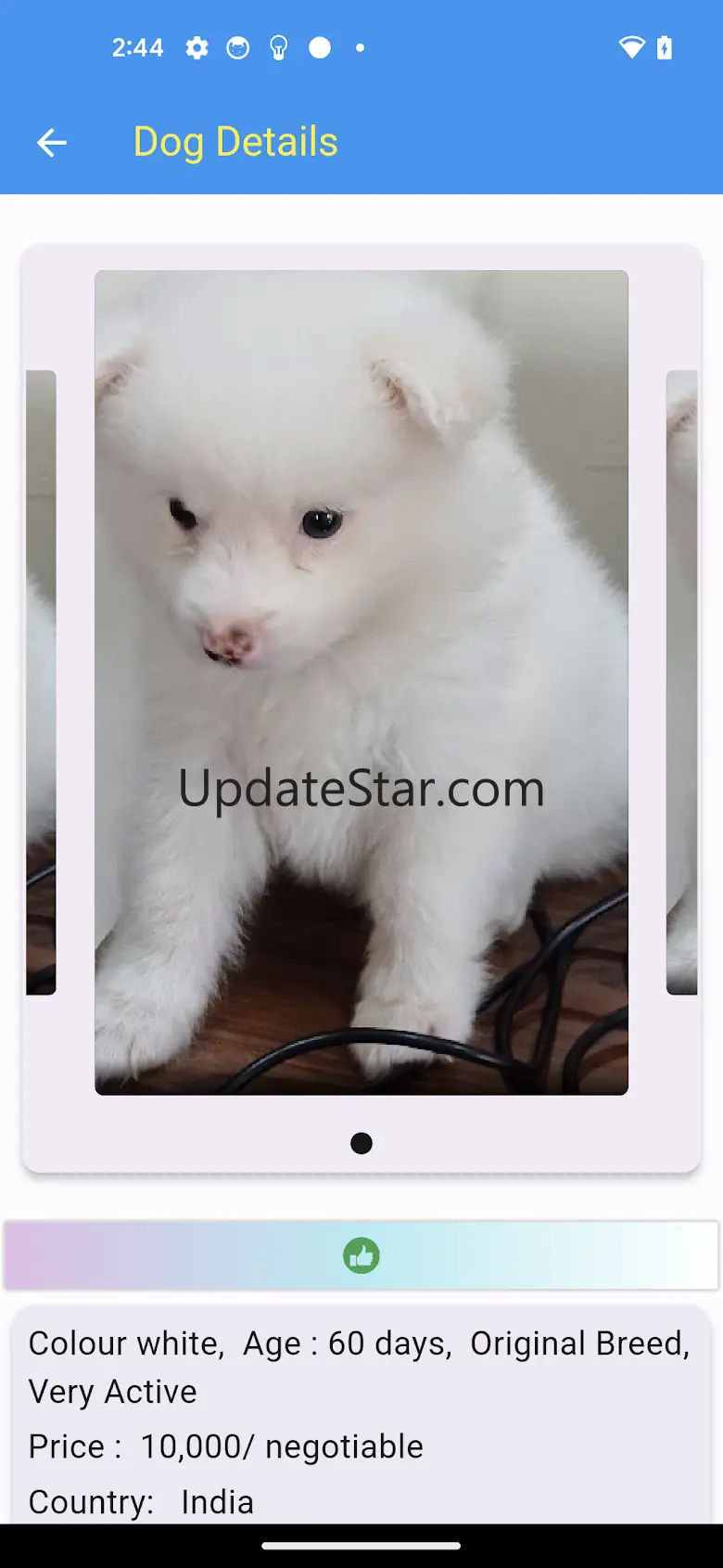 pet & dog - Buy and sell 8686.0